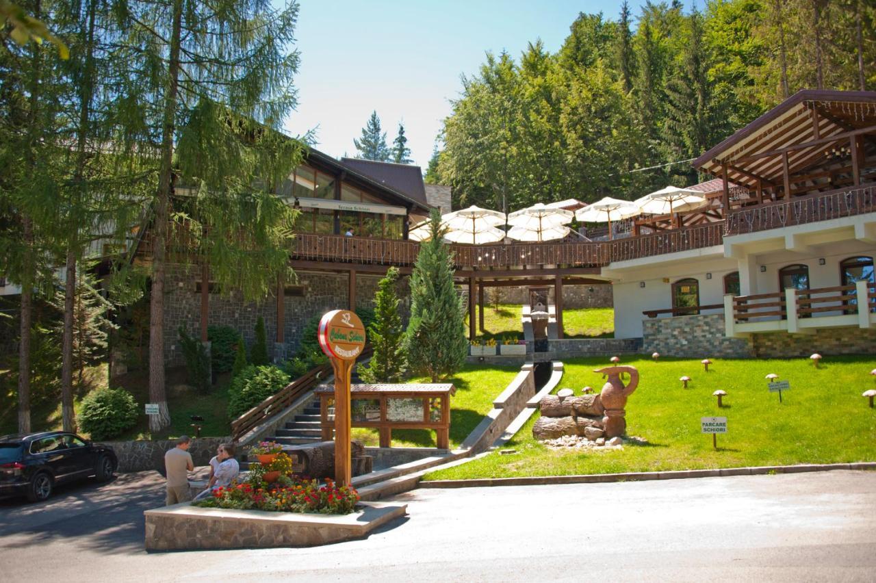 Pensiune Schiori Sinaia
