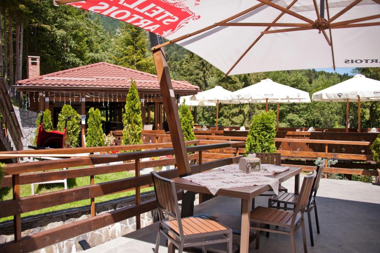 Schiori Guest house