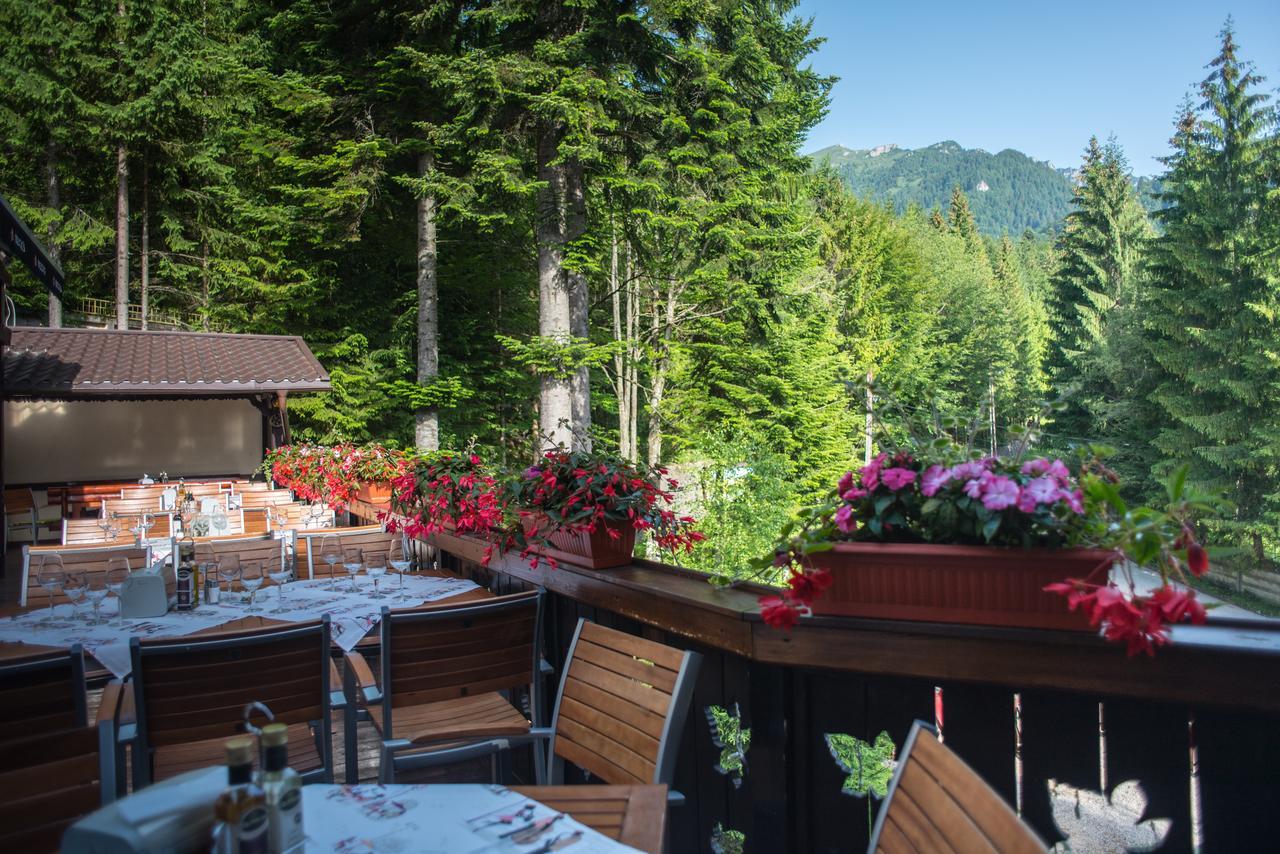 Schiori Guest house Sinaia